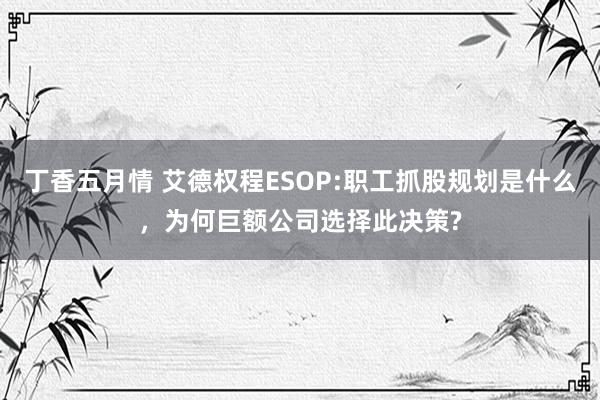 丁香五月情 艾德权程ESOP:职工抓股规划是什么，为何巨额公司选择此决策?