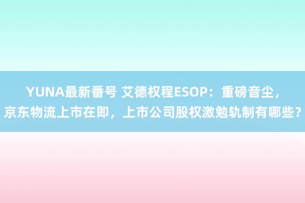 YUNA最新番号 艾德权程ESOP：重磅音尘，京东物流上市在即，上市公司股权激勉轨制有哪些？