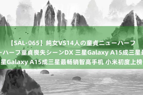 【SAL-065】純女VS14人の童貞ニューハーフ 二度と見れないニューハーフ童貞喪失シーンDX 三星Galaxy A15成三星最畅销智高手机 小米初度上榜