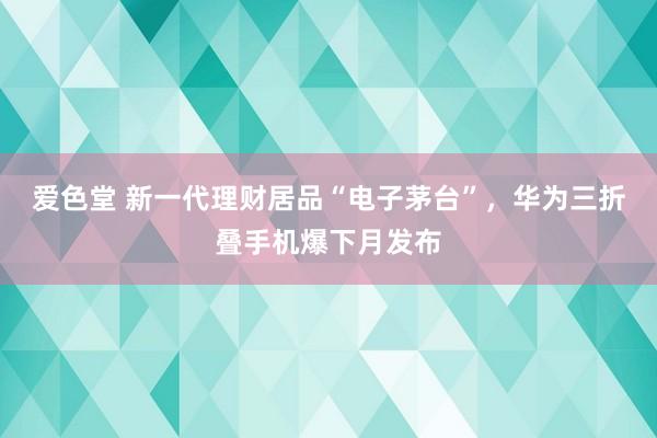 爱色堂 新一代理财居品“电子茅台”，华为三折叠手机爆下月发布