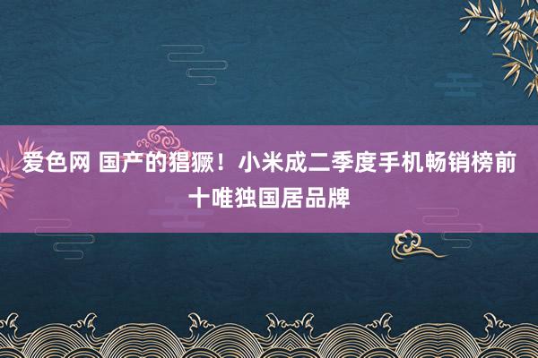 爱色网 国产的猖獗！小米成二季度手机畅销榜前十唯独国居品牌