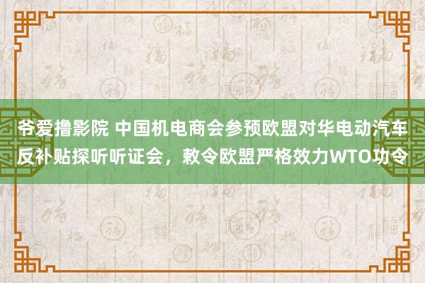 爷爱撸影院 中国机电商会参预欧盟对华电动汽车反补贴探听听证会，敕令欧盟严格效力WTO功令