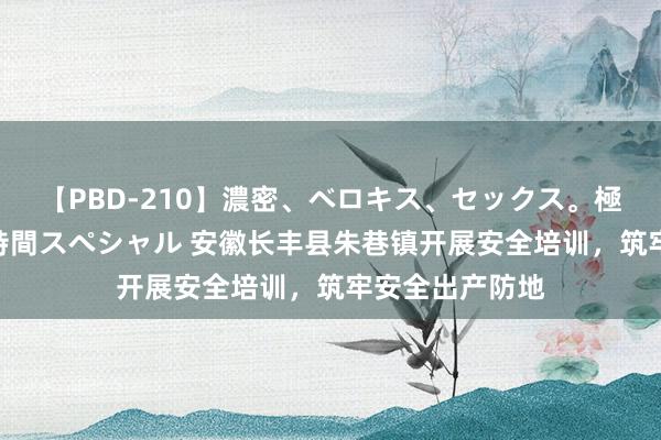 【PBD-210】濃密、ベロキス、セックス。極上接吻性交 8時間スペシャル 安徽长丰县朱巷镇开展安全培训，筑牢安全出产防地