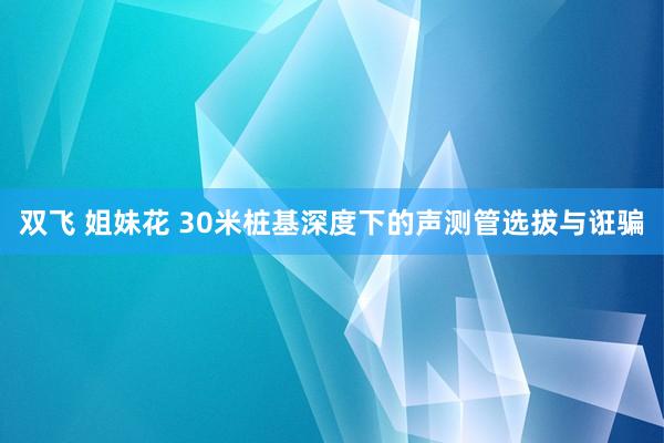 双飞 姐妹花 30米桩基深度下的声测管选拔与诳骗