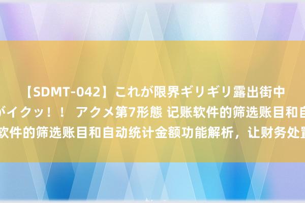 【SDMT-042】これが限界ギリギリ露出街中潮吹き アクメ自転車がイクッ！！ アクメ第7形態 记账软件的筛选账目和自动统计金额功能解析，让财务处置更高效