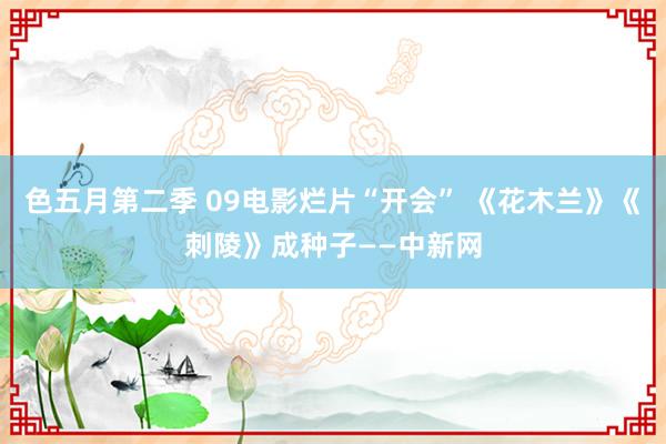 色五月第二季 09电影烂片“开会” 《花木兰》《刺陵》成种子——中新网