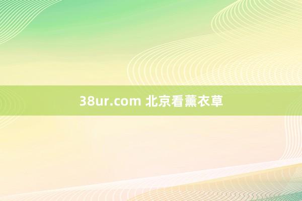 38ur.com 北京看薰衣草