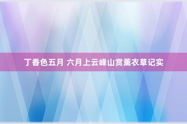 丁香色五月 六月上云峰山赏薰衣草记实