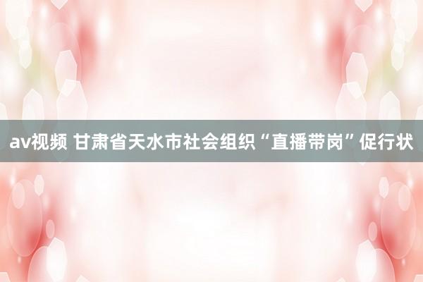 av视频 甘肃省天水市社会组织“直播带岗”促行状