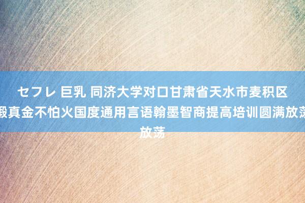 セフレ 巨乳 同济大学对口甘肃省天水市麦积区锻真金不怕火国度通用言语翰墨智商提高培训圆满放荡